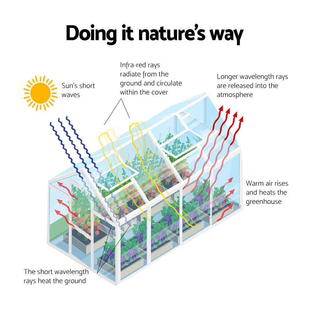 An infographic showing sunlight, heat, and airflow dynamics of the greenhouse for optimal plant growth.