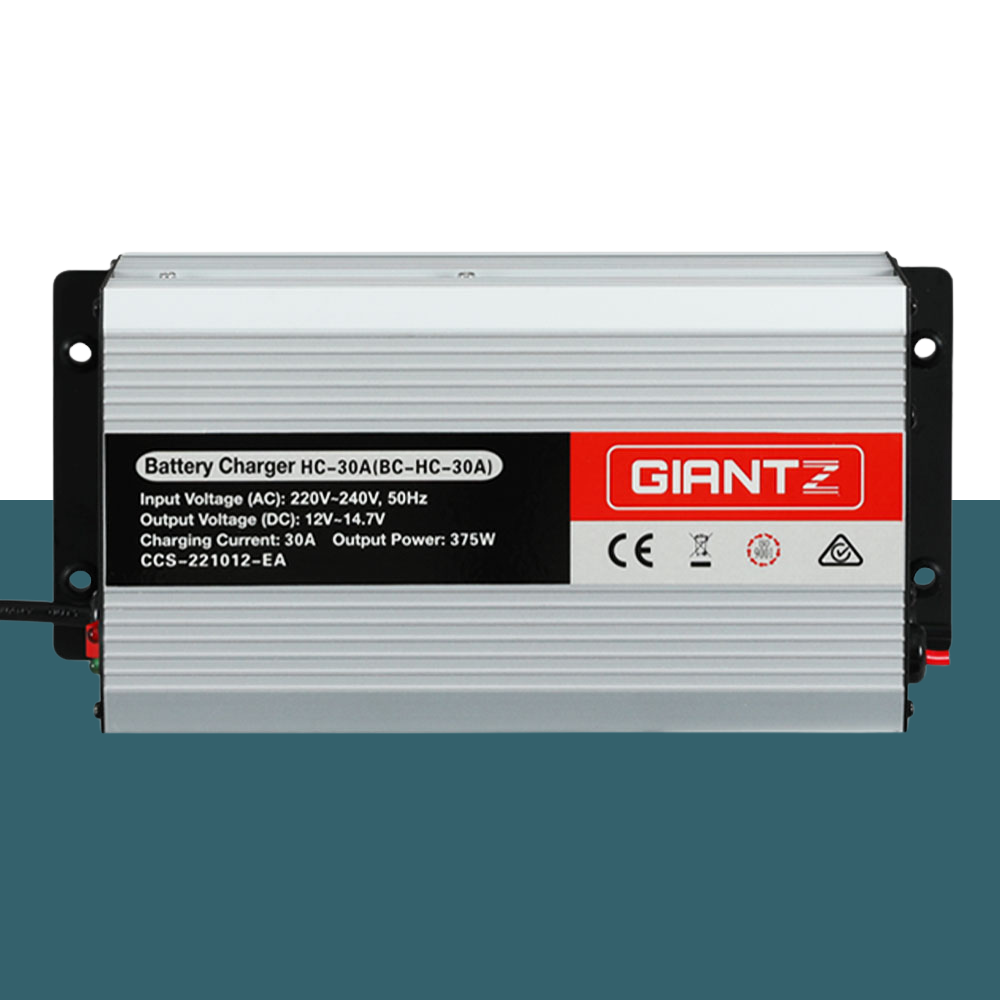 Flat side view of the GIANTZ charger against a teal and white background, showing label and branding clearly.