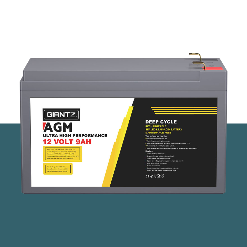 Front view of the GIANTZ battery placed on a teal and white background, highlighting label details.