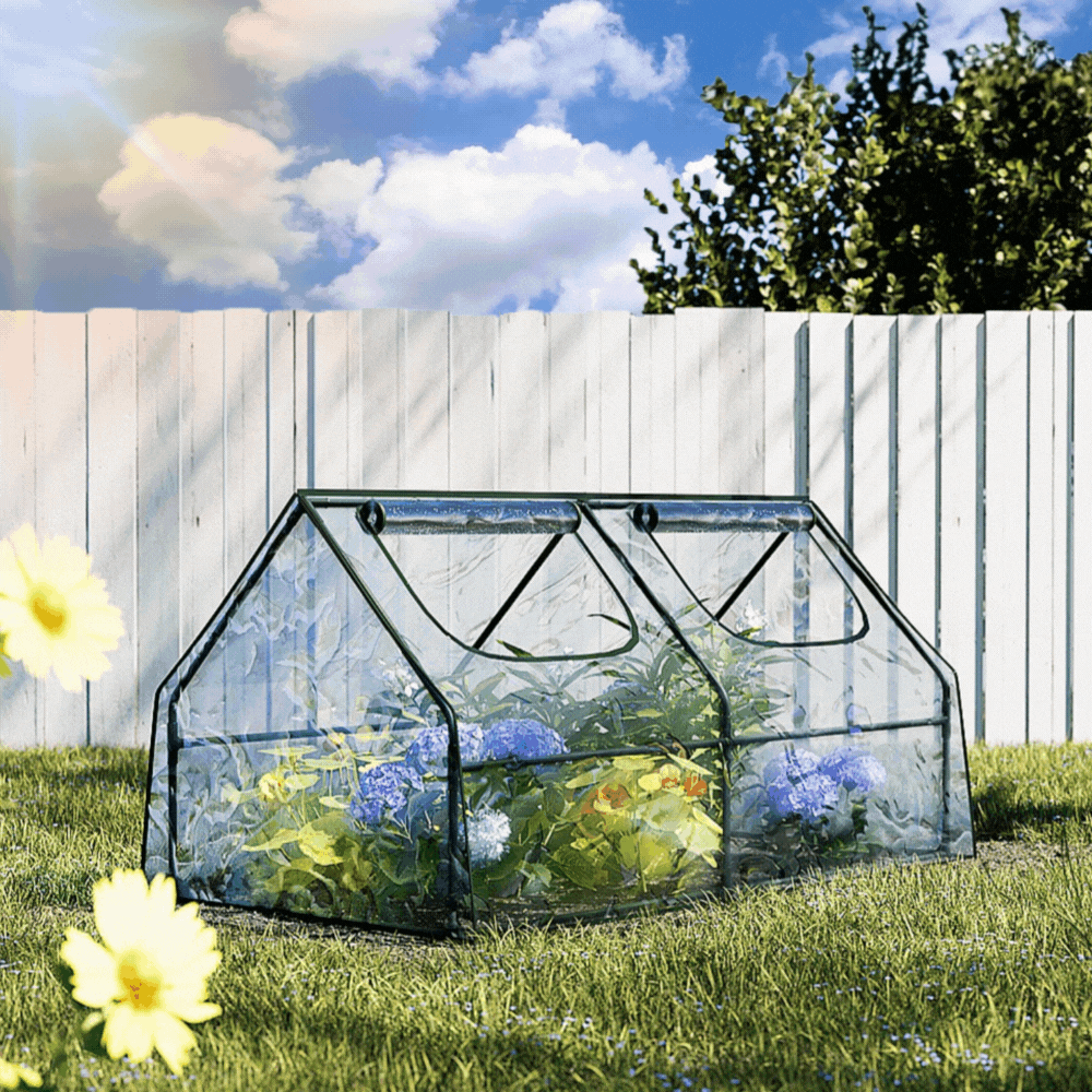 Clear, peaked-roof mini-greenhouse on a grassy lawn, protecting blue and green flowering plants. White fence background.