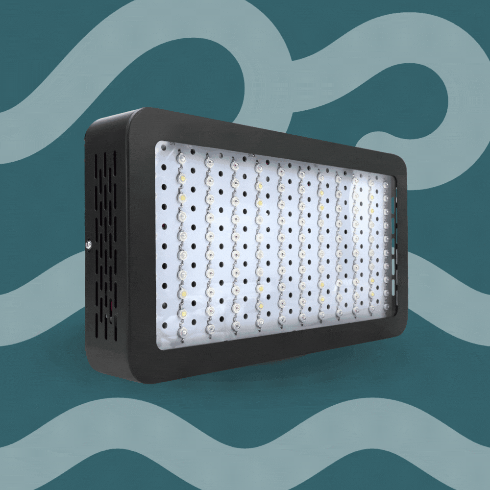 Green Fingers 1200W LED Full Spectrum Indoor Grow Light