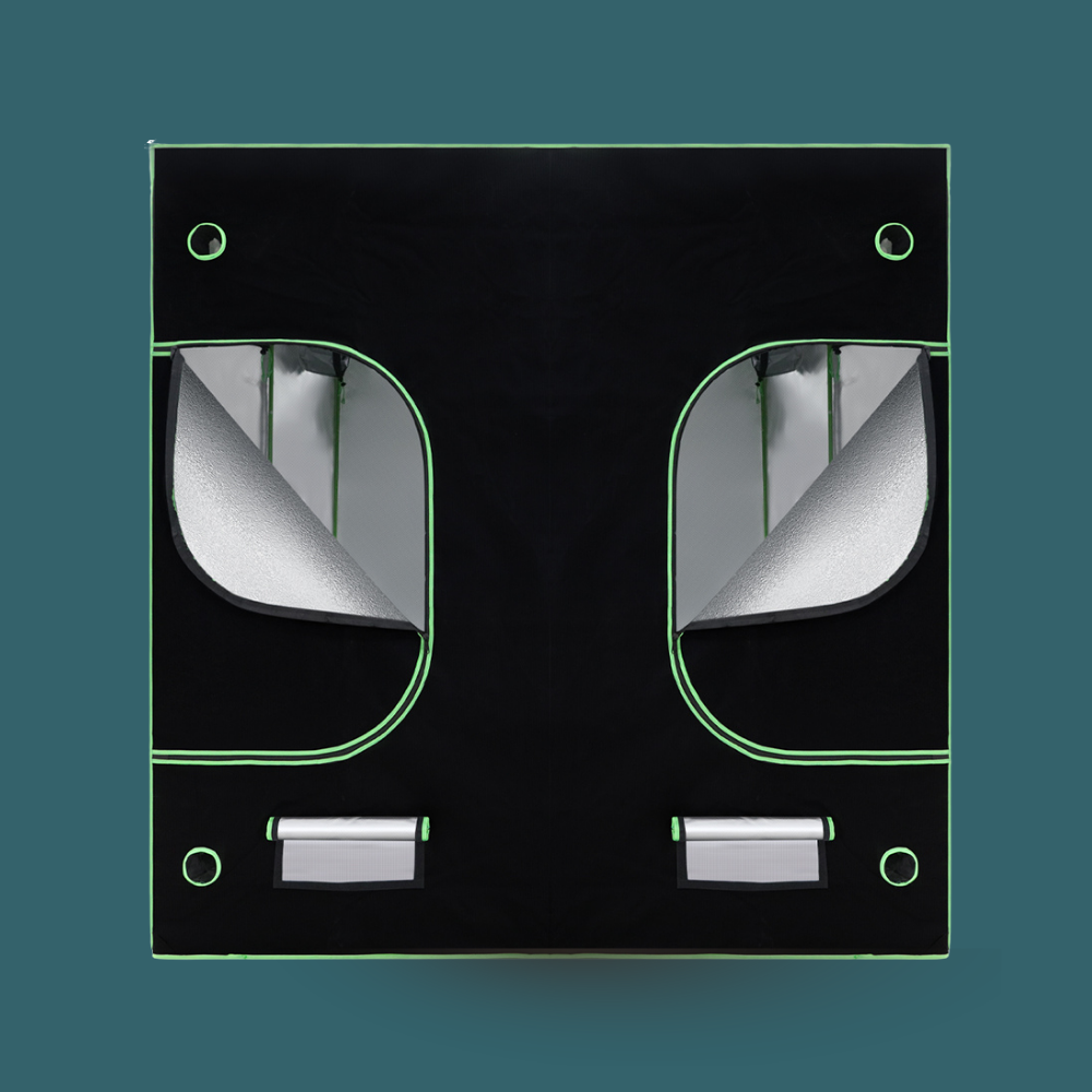 Black double switch plate with green accents on a teal background