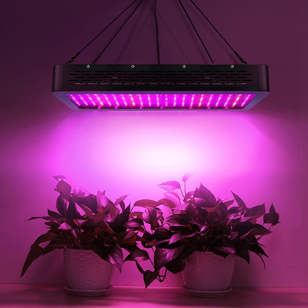 LED grow light illuminating two potted plants with a purple glow on a dark background