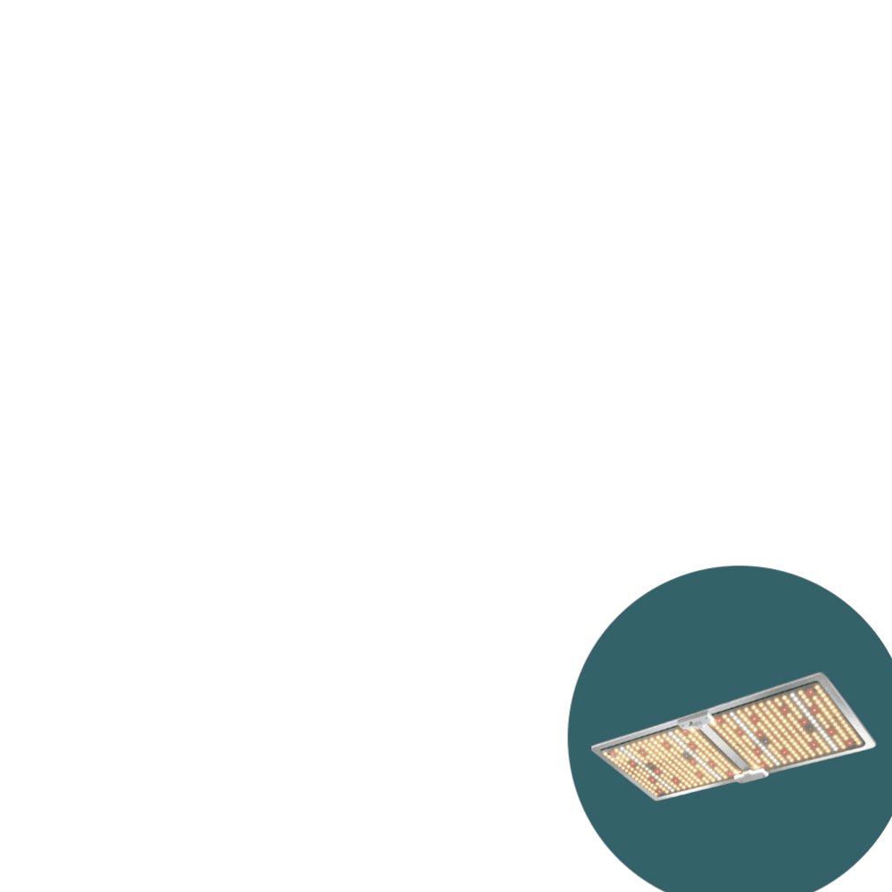 Green Fingers 240 x 120 x 200cm Grow Tent With 220W LED Grow Light