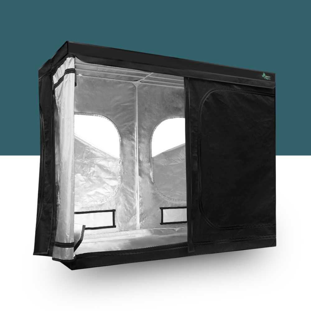 Black enclosurehydrophonics indoor grow tent