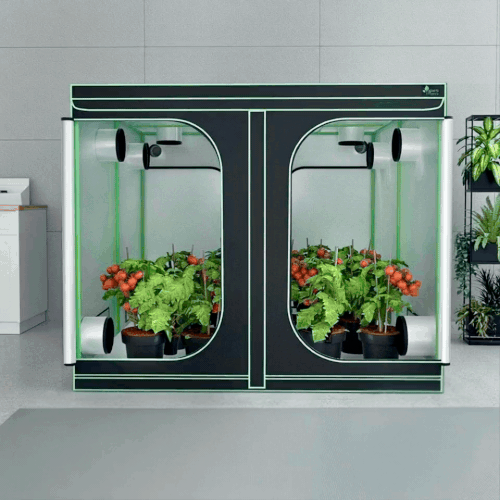 Green Fingers 300 x 150 x 200cm Hydroponics Indoor Grow Tent