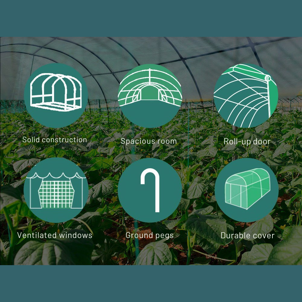 Greenhouse features with icons and text on a blurred greenhouse background