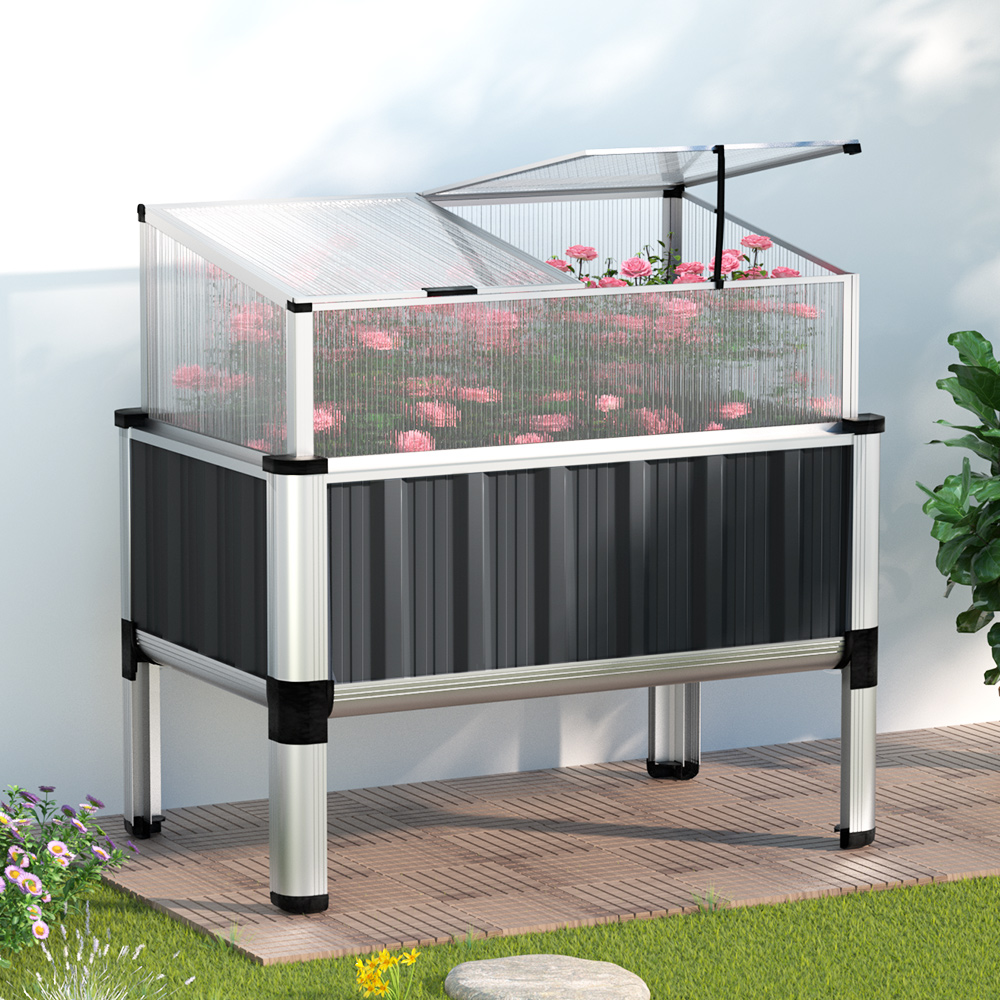Raised garden bed with a transparent protective cover, filled with blooming flowers, placed on a paved outdoor area.