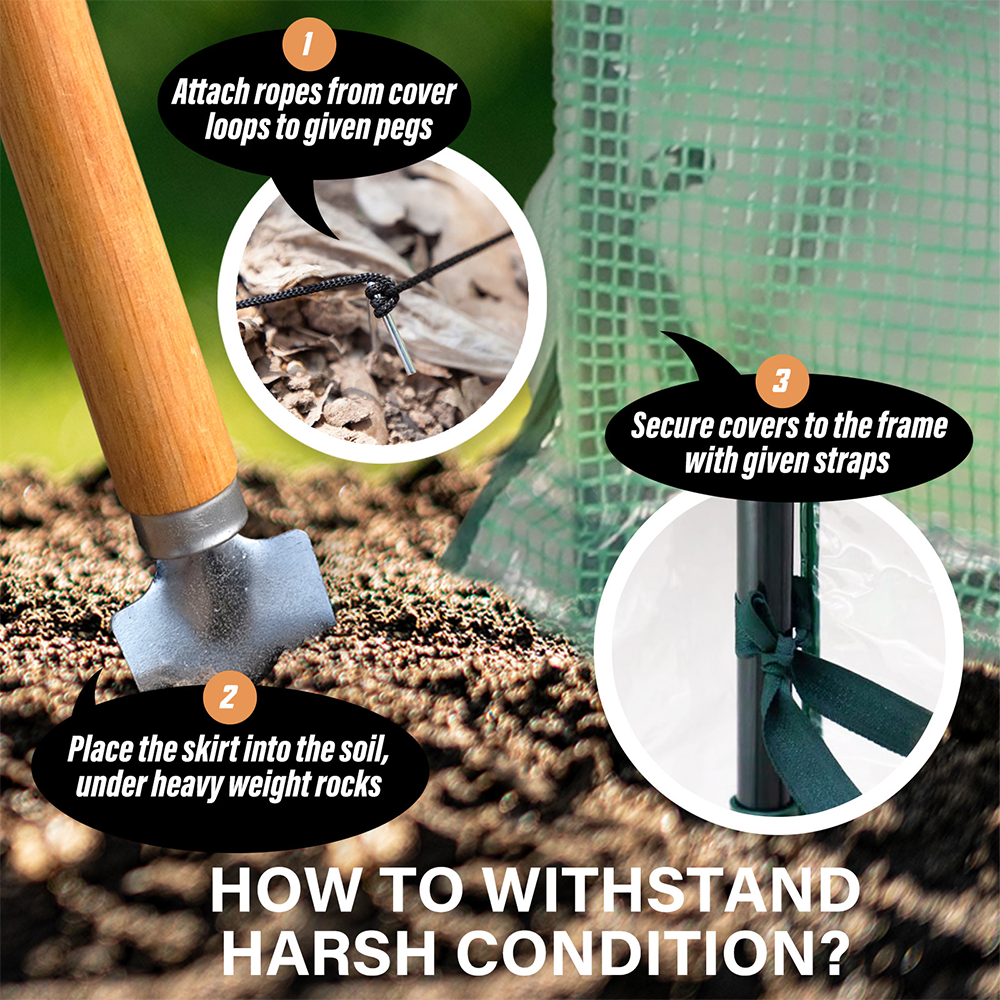 Greenhouse with a UV-resistant mesh cover, highlighting the durable and easy-roll-up door for optimal ventilation.