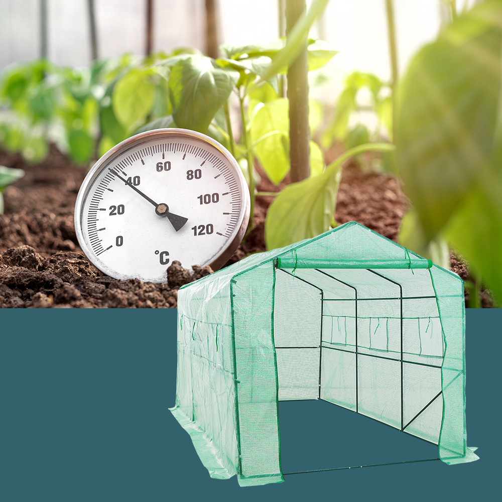 Thermometer in soil with young green plants around it, next to an image of the greenhouse, emphasising optimal temperature conditions for plant growth