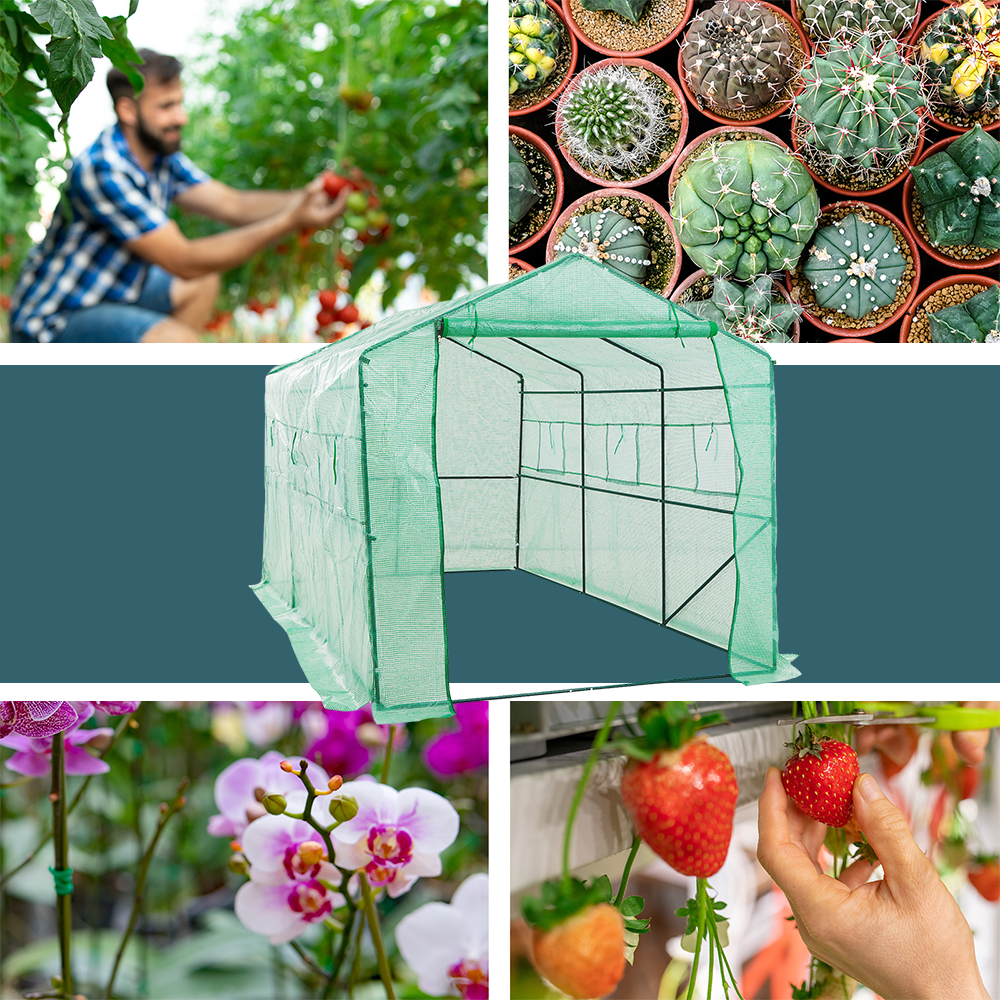 Front view of a green greenhouse fully covered in PE material, ideal for plant protection.