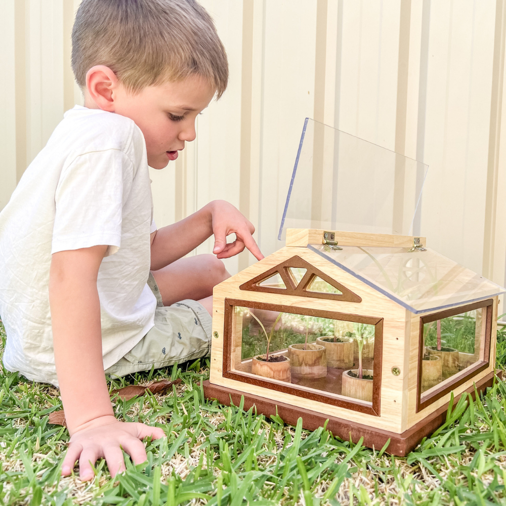 Child Observing Mini Greenhouse
A young child kneeling on grass, closely examining a wooden mini greenhouse with clear glass panels and small pots inside.