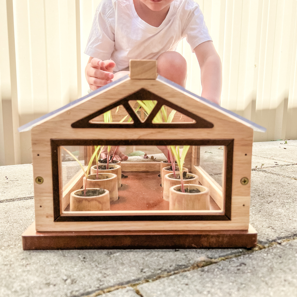 Front View of Mini Greenhouse
Close-up front view of a small wooden greenhouse with clear panels and circular planting pots, placed on concrete.