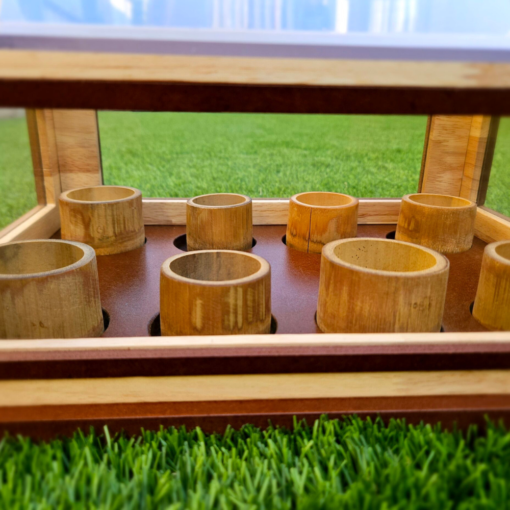 Interior Close-Up
A side view through the roof of the mini greenhouse, showcasing the round pots neatly arranged inside.