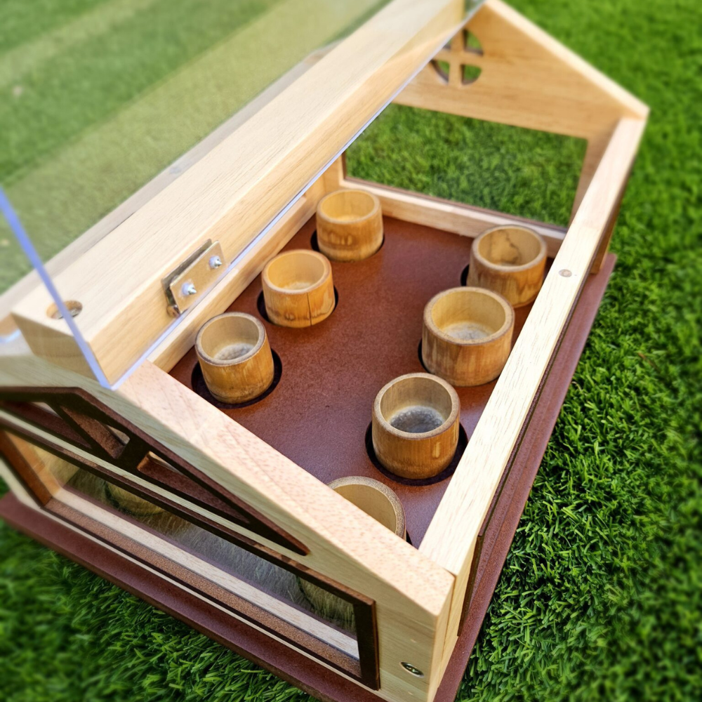Child Looking Inside from Above
A child sitting on grass and peering down into the open top of a mini greenhouse from a bird’s-eye perspective.