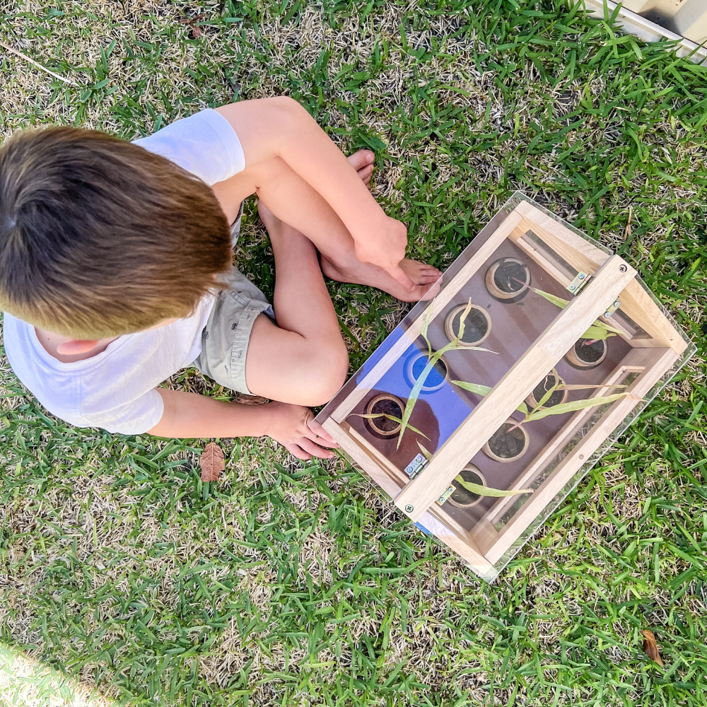 Side View Through Window Frame
A close-up side view of the interior of a mini greenhouse, showing four circular pots through a wooden window frame.