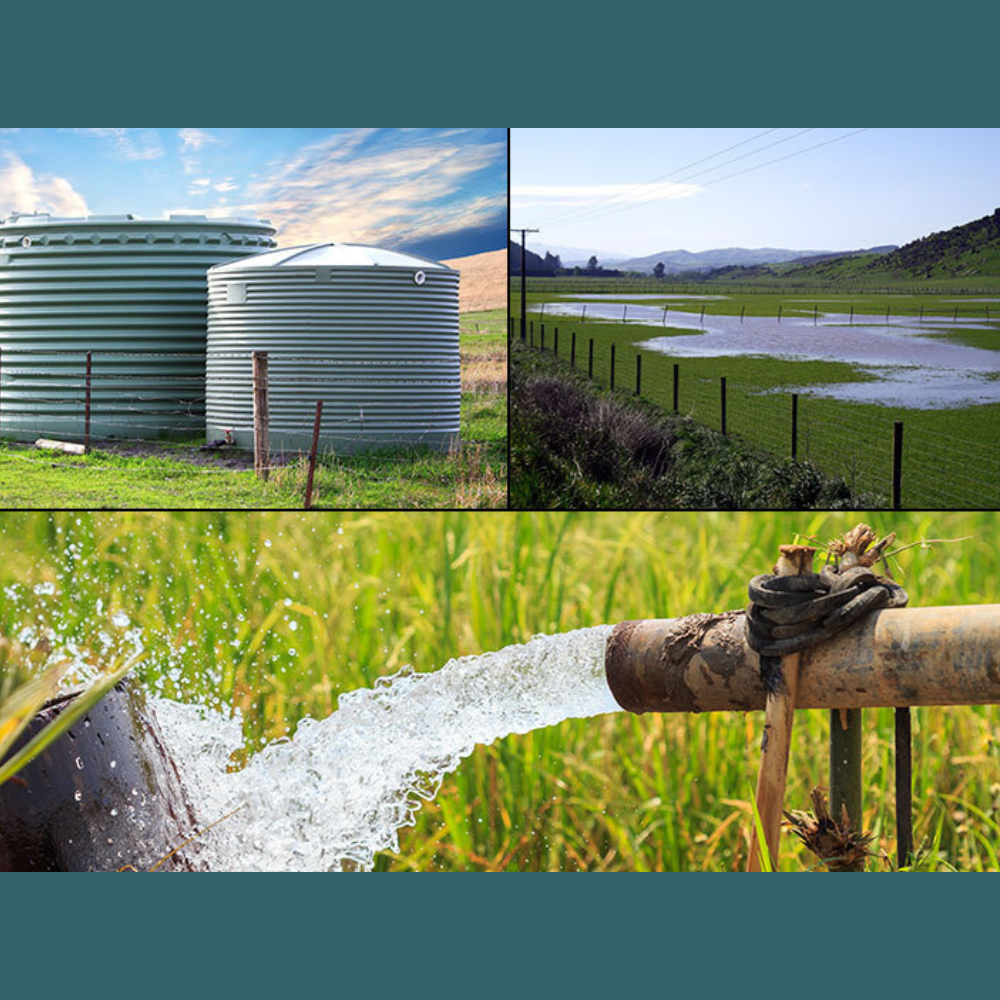 Pump in Water Simulation
Illustration of the pump submerged underwater with the yellow float switch floating above the surface.