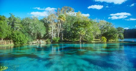 The Ultimate Guide to Off-Grid Water Systems
