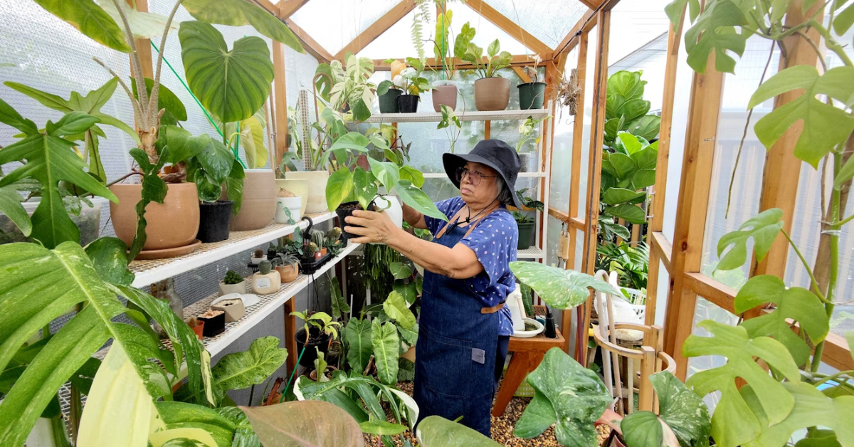 A woman tending to potted plants inside a small backyard greenhouse, showing a beginner-friendly greenhouse gardening setup with lush indoor plants.