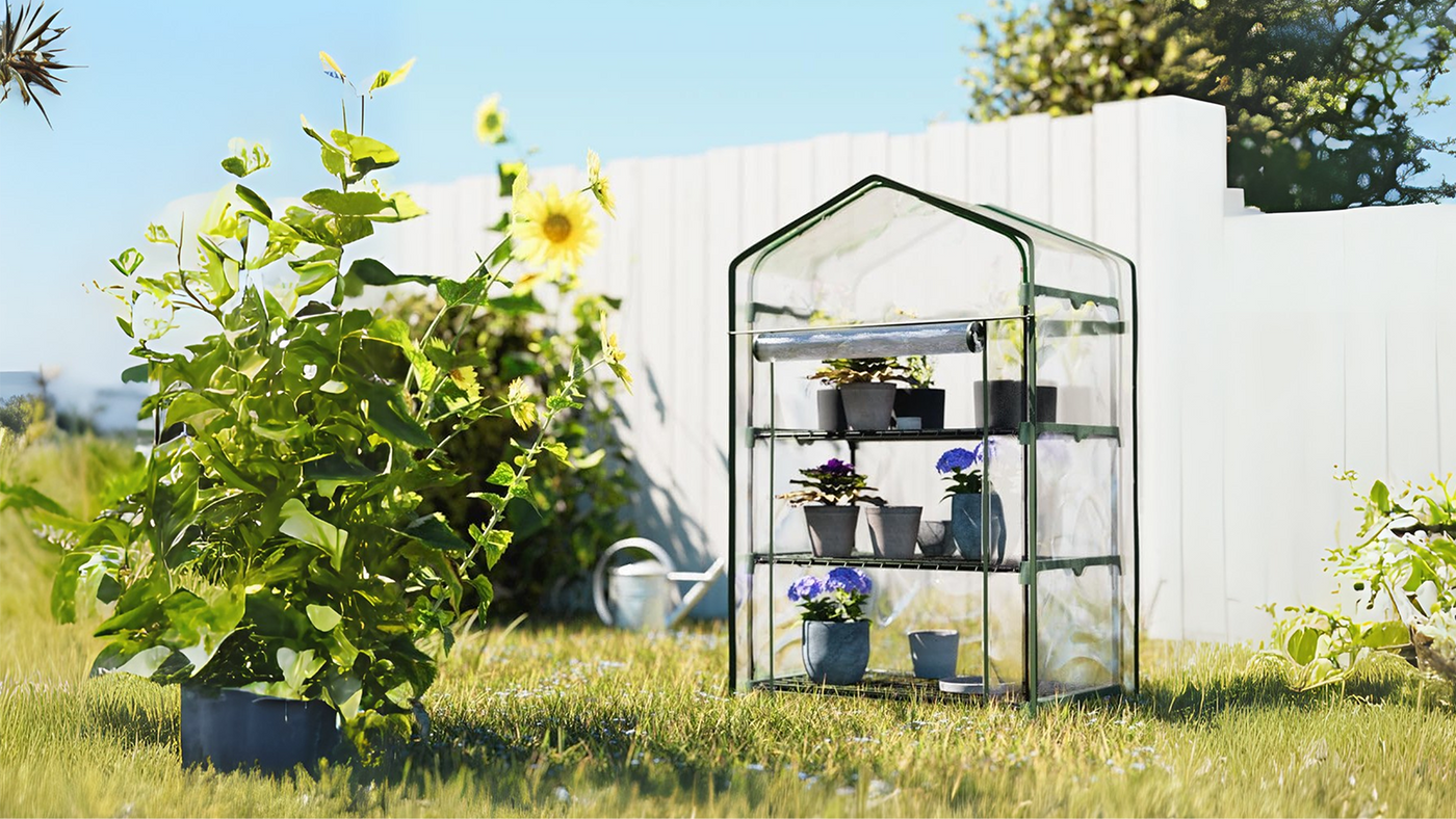 A backyard garden scene with a greenhouse in the background containing potted plants. A lush green lawn surrounds the area, emphasizing a sustainable and eco-friendly lifestyle.
