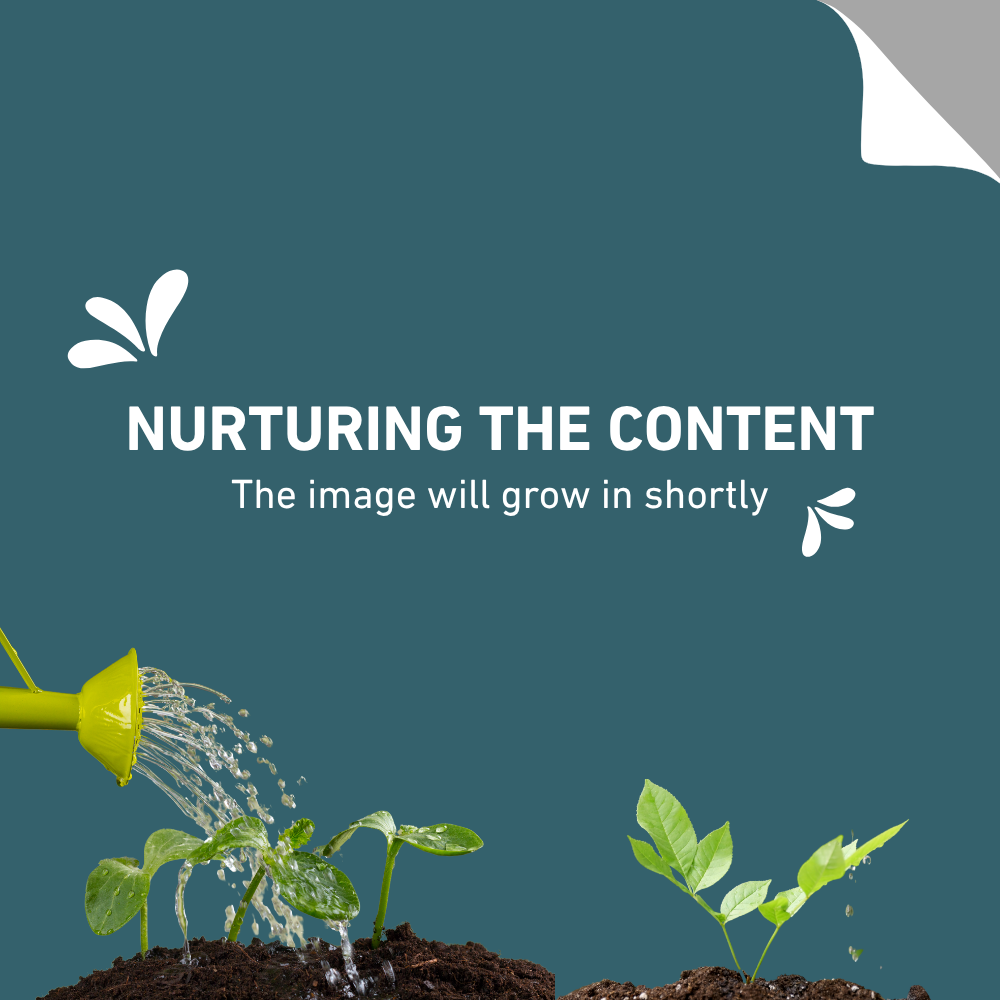 Solazone Windstorm SC120 Mains Booster 240V Adaptor With Timer