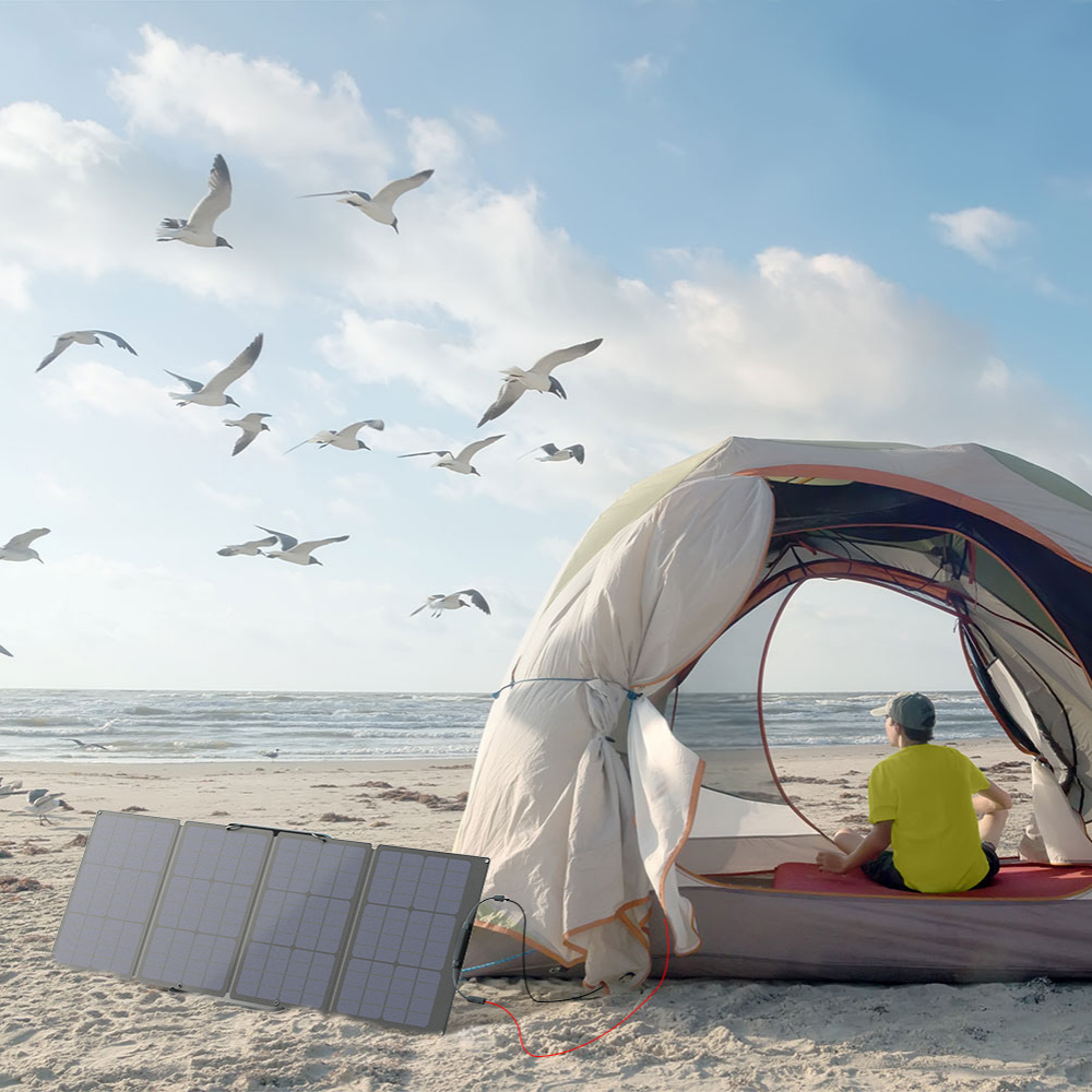 Person sitting on a beach with a tent and solar panel, surrounded by seagulls.