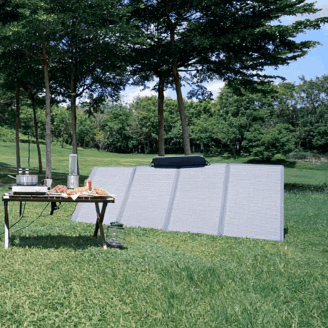 Solar panels on a grassy area with trees in the background