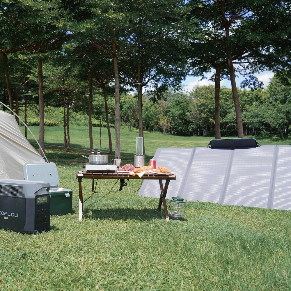 Outdoor camping scene with a table set up in a grassy area with trees.