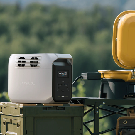 Portable power station with ECOFLOW branding on a green surface with a blurred natural background