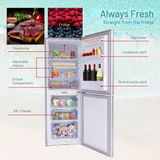 Diagram of a refrigerator with labeled compartments and food items inside, on a light blue background.