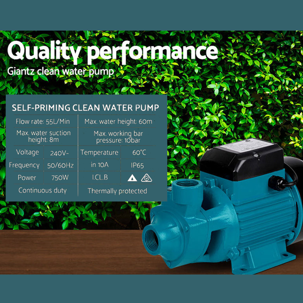 details of Giantz 750W Peripheral Rust-Resistant Water Pump