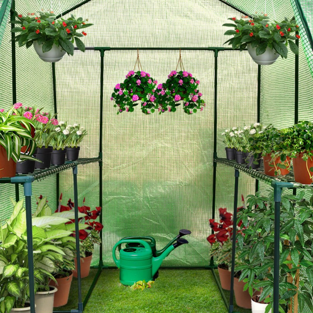 Greenhouse with various potted plants and a green watering can on a grassy floor.