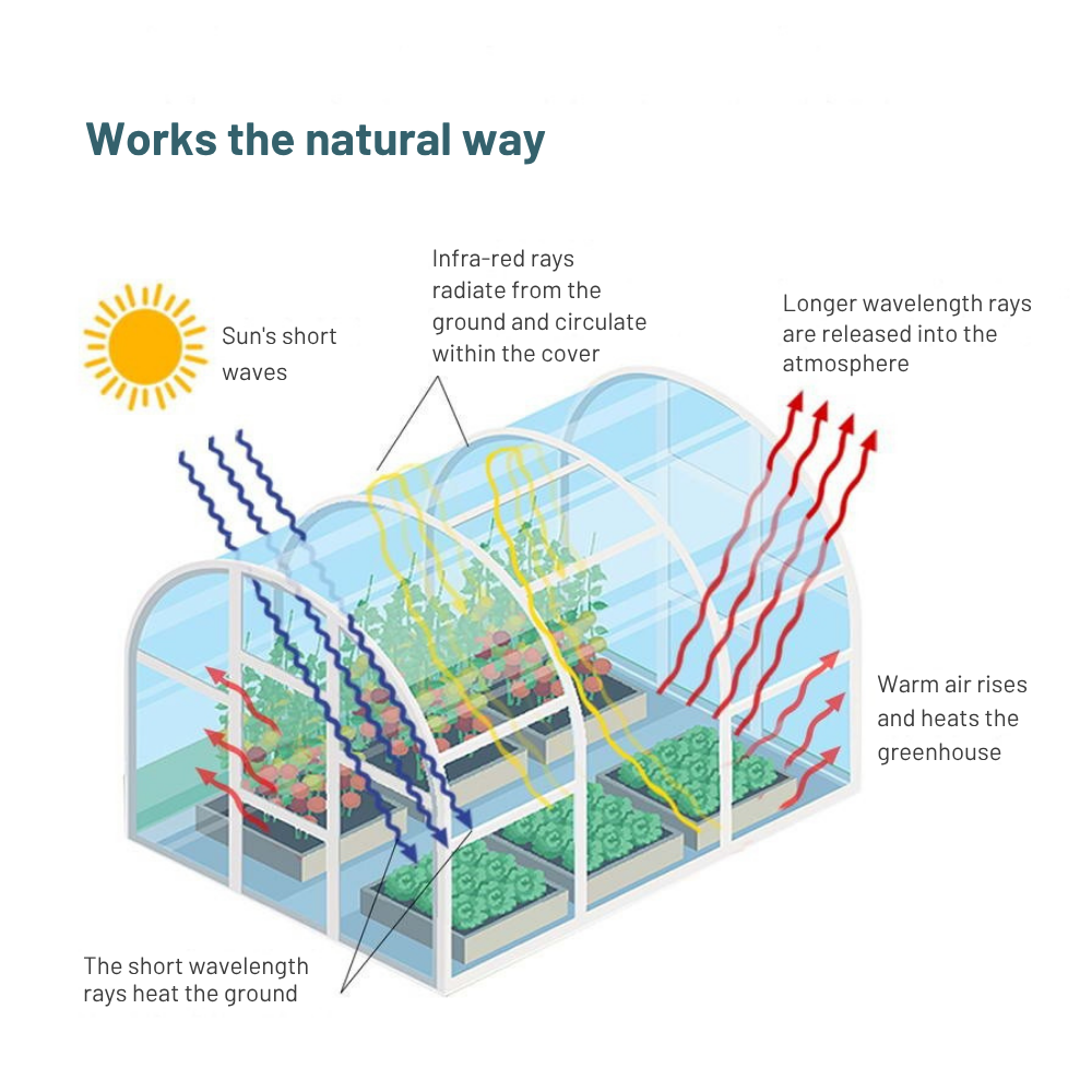 Diagram of a greenhouse showing how it works with labeled arrows and text.
