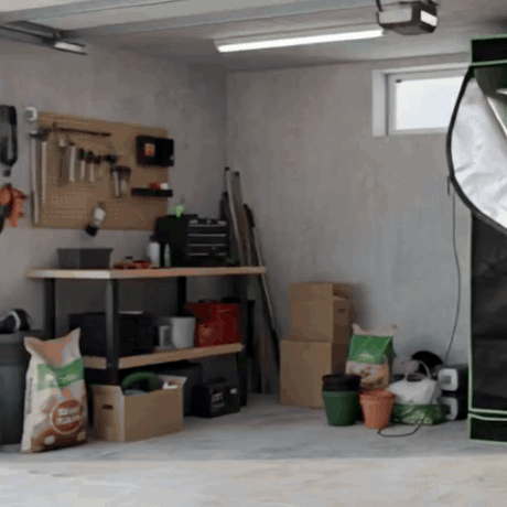 A black Green Fingers hydroponic grow tent sits in a garage, featuring reflective lining and internal plant shelving.