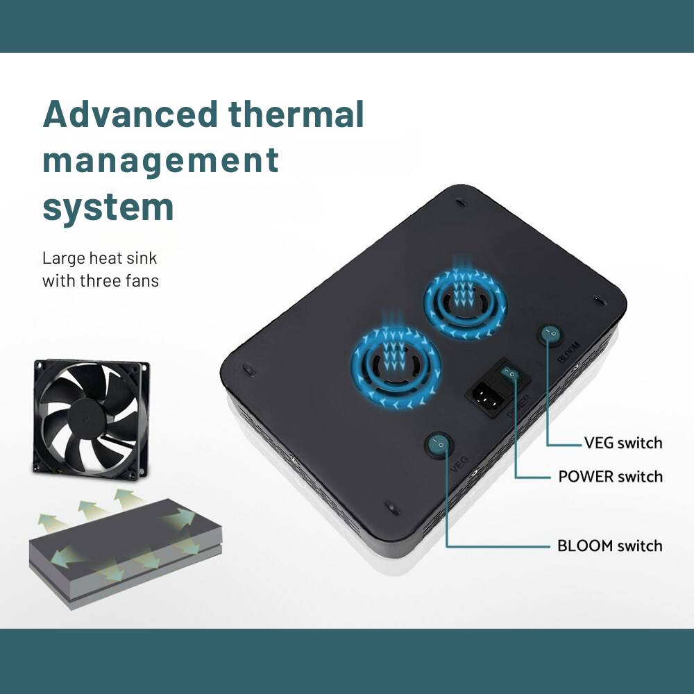 Advanced thermal management system with heat sink and fans on a white background