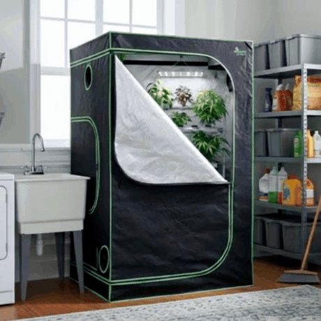 A Green Fingers hydroponic grow tent displays lush plants, LED lighting, and a reflective interior.