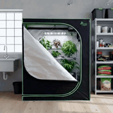 A Green Fingers grow tent in a room features a reflective interior, grow lights, and several lush plants.