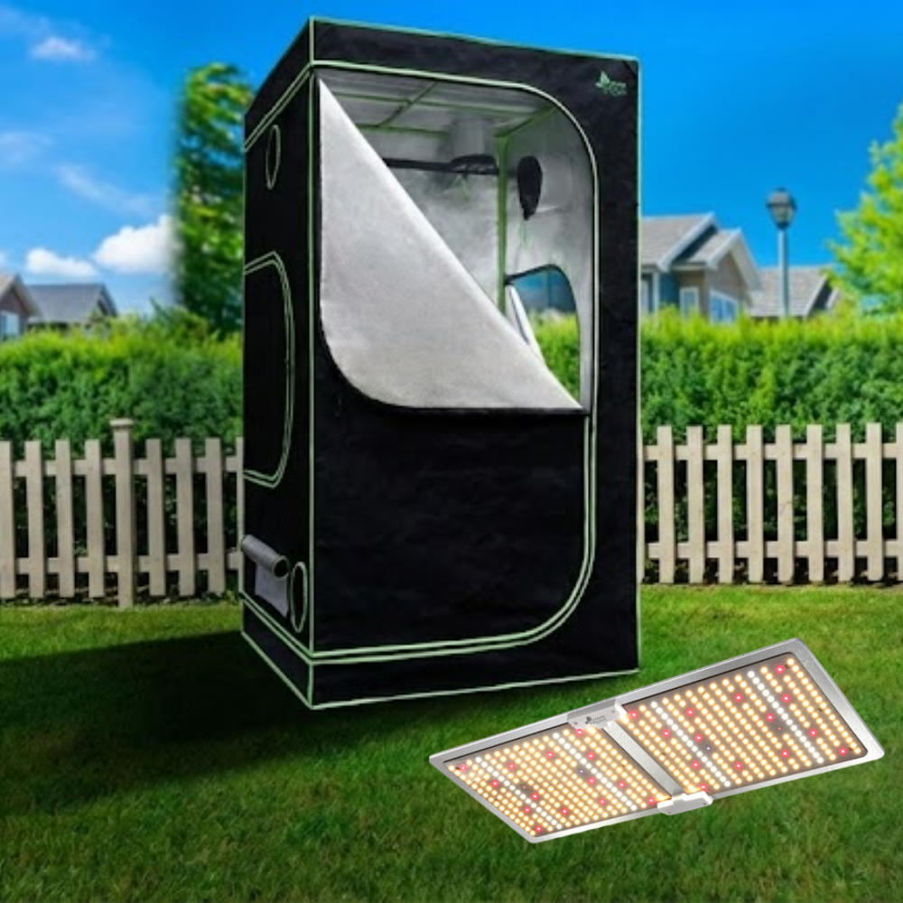Black grow tent with LED lights on a grassy area outdoors