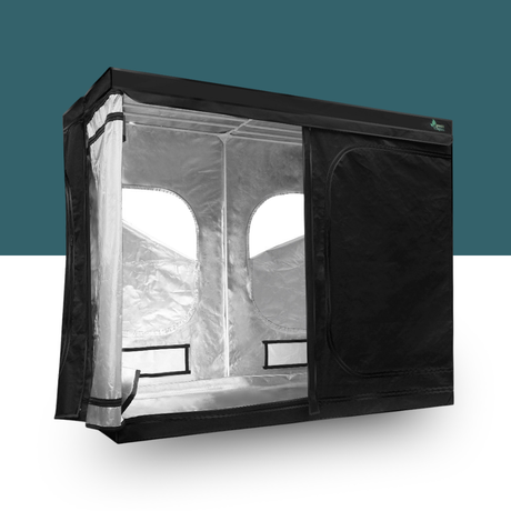 Black  enclosurehydrophonics indoor grow tent