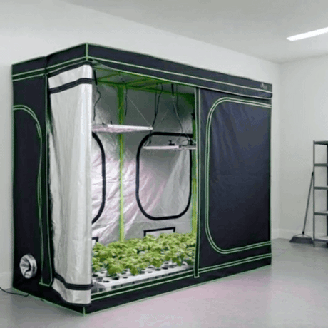 green architecture grow tent Green Fingers 280 x 140 x 200cm Hydroponics Indoor Grow Tent – Eco Off Grid