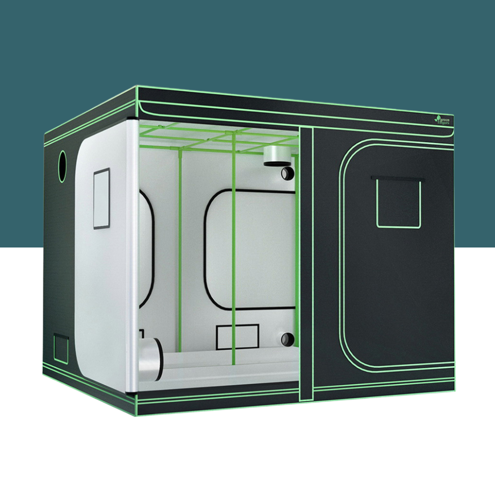 Black and white grow tent with green lines on a teal background