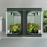 Modular indoor gardening system with plants inside a gray room.