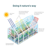 Diagram of a greenhouse showing how it mimics nature's heating process.