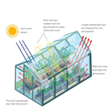 Diagram of a greenhouse showing how heat is trapped by infrared and longwave radiation.