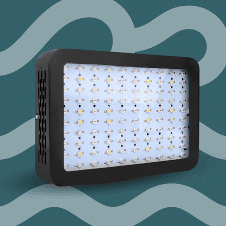 Green Fingers 600W LED Full Spectrum Indoor Grow Light