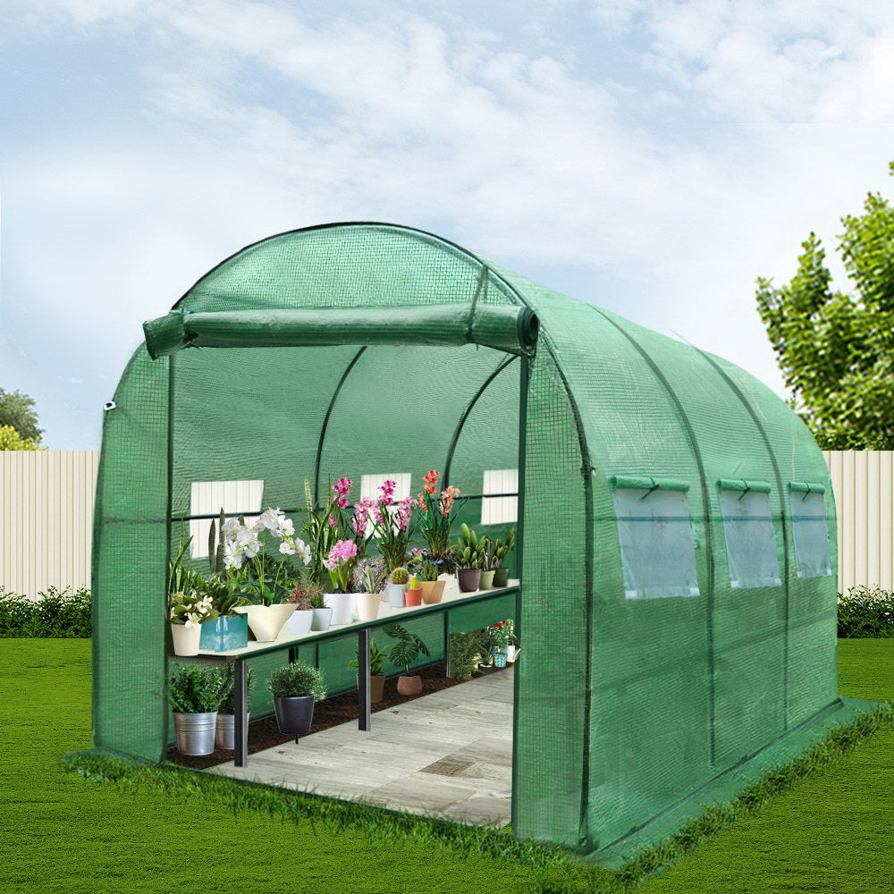 plants inside the Greenfingers 3 X 2 X 2M Steel Tunnel Walk In Greenhouse